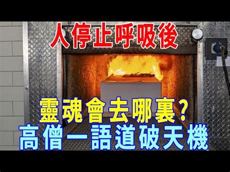 火化過程是否靈魂已跑走|為何火化時不需要喊「火來了快跑」｜楊子佛教禮儀公